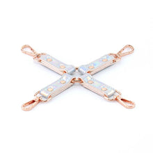 Load image into Gallery viewer, Cosmo - Hogtie