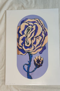 Rose Garden - artprint A4
