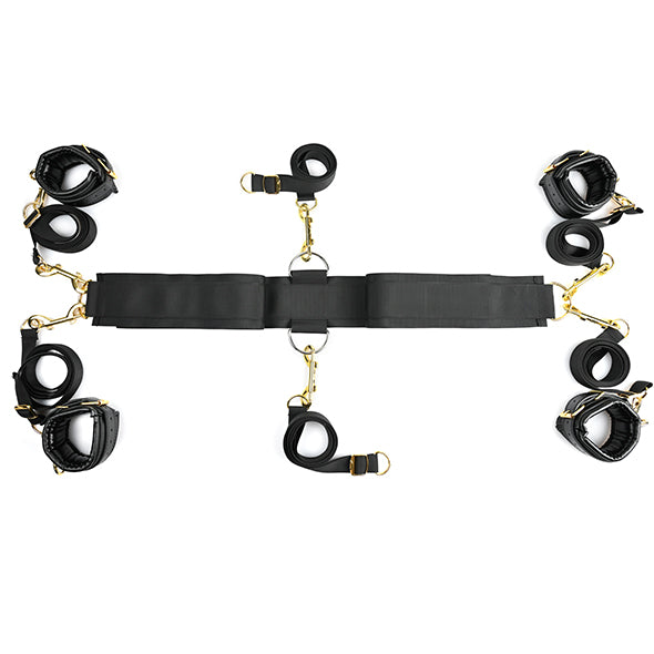 Under Bed Restraint System Special Edition