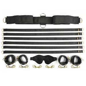 Under Bed Restraint System Special Edition
