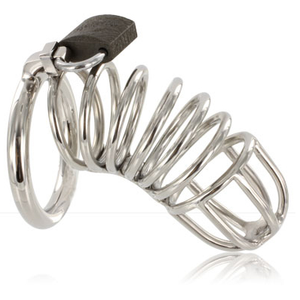Chastity Cage - Stainless Steel by Dreamlove Spain - Vegan Chastity Cage - Bold Humans - Cock, Kink, Restraints